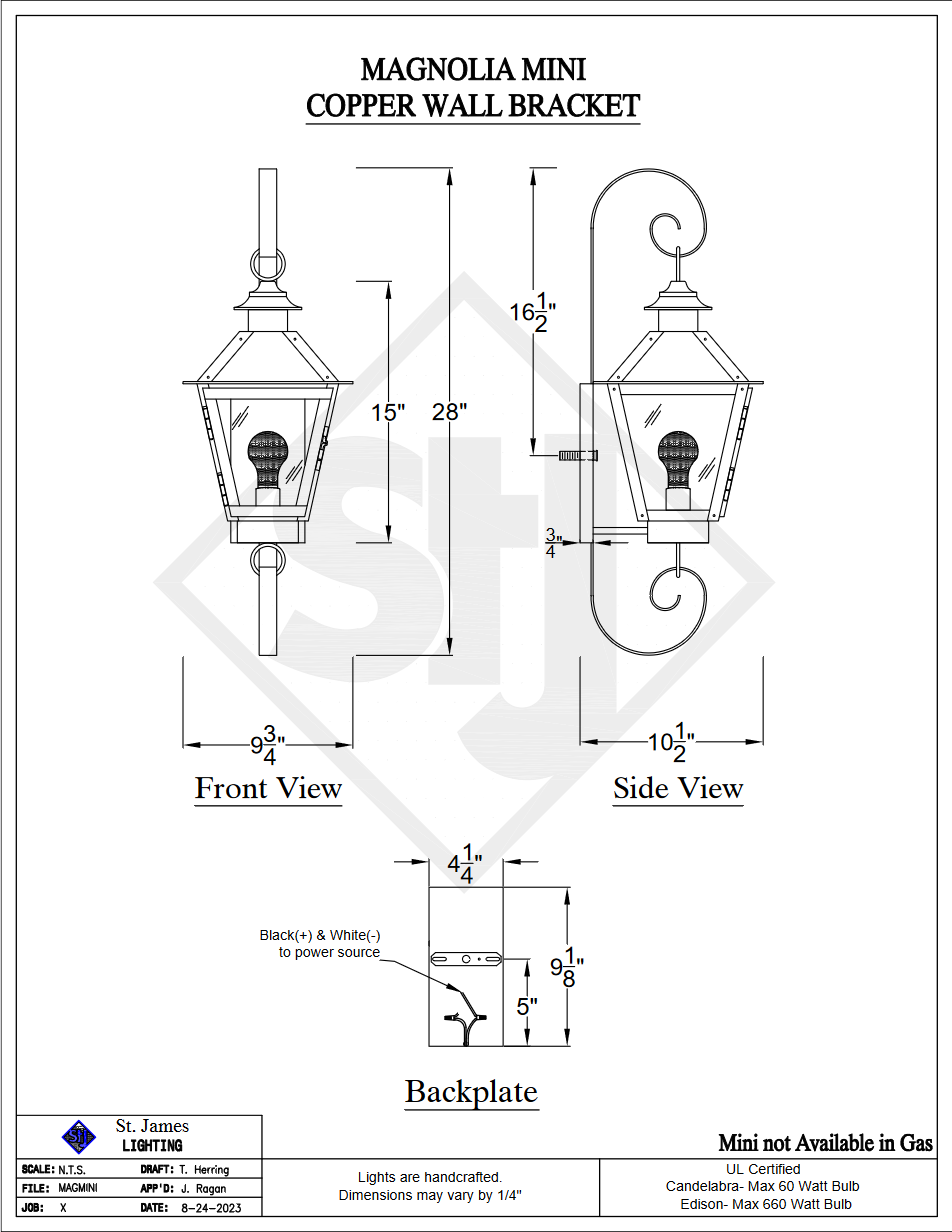 Line Drawings St. James Magnolia Lantern