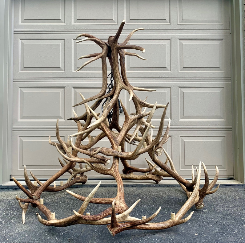Regal Elk Antler Chandelier