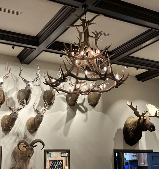 Antler chandelier Pendant Light