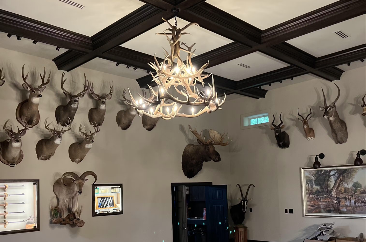 Regal Elk Real Antler Chandelier