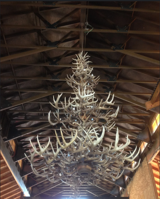 Matterhorn Deer Antler Chandelier, 60"T 60"W 24 Lights