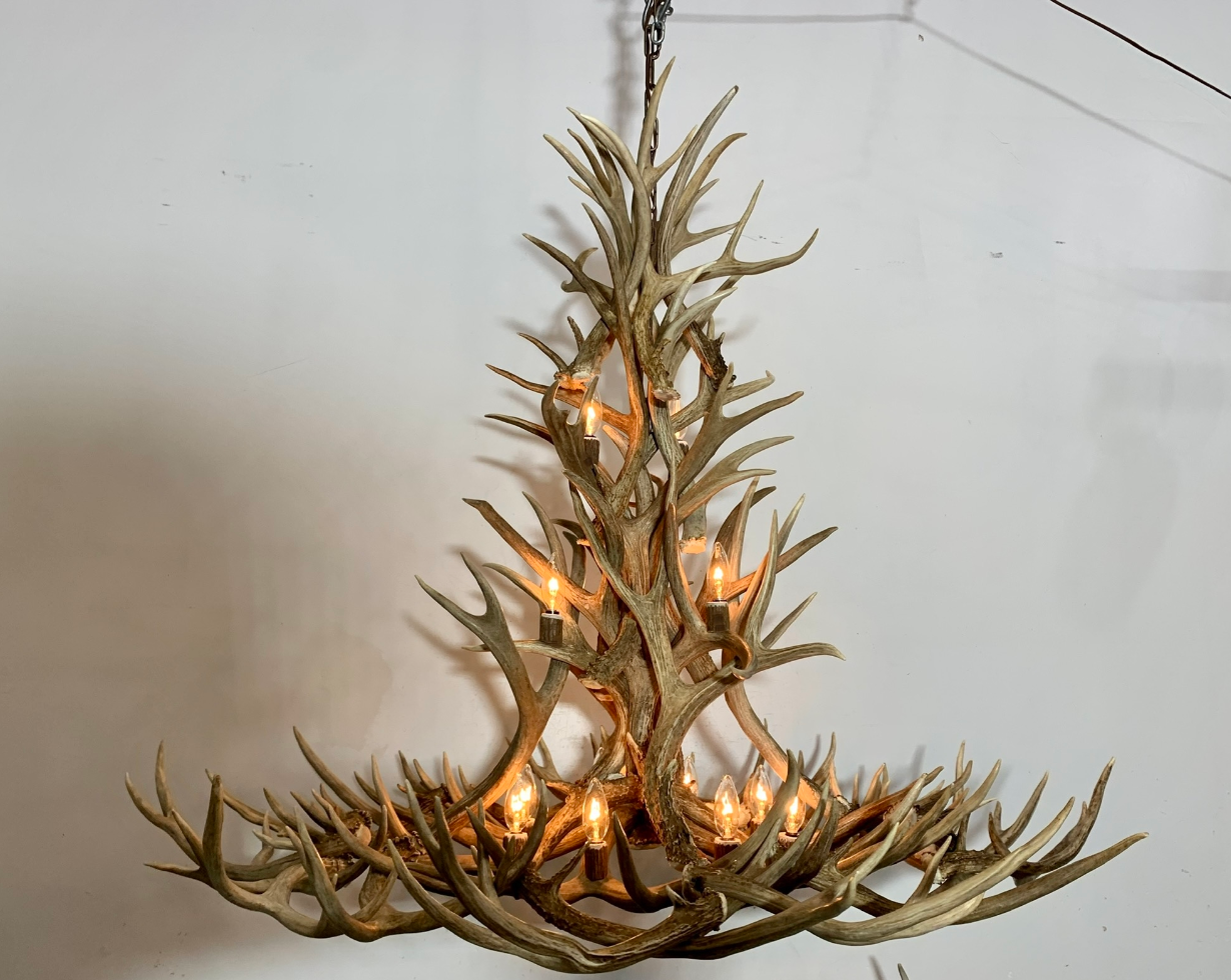50" Gold Canyon Deer Antler chandelier Pendant Light