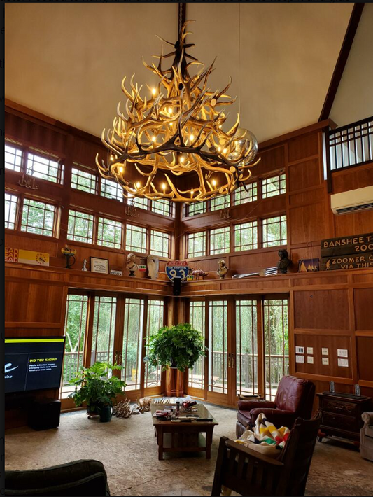 Elk Antler chandelier Pendant Light