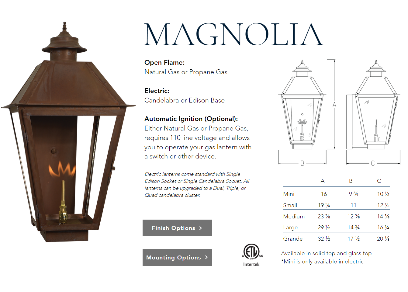 St. James Magnolia Copper Lantern Pendant Light