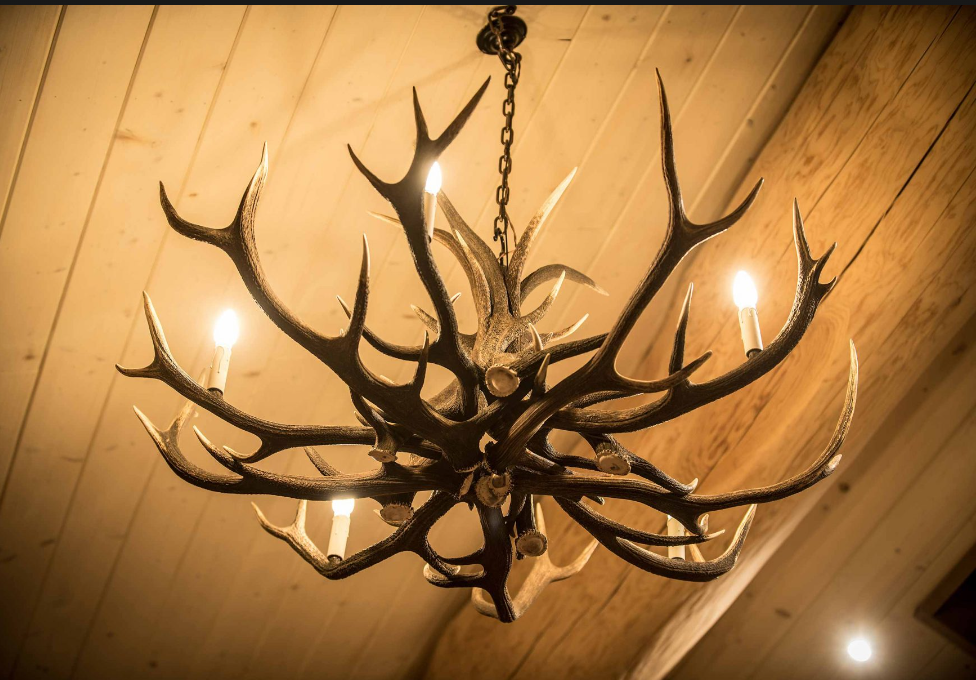 Deer Antler Chandelier Pendant Light