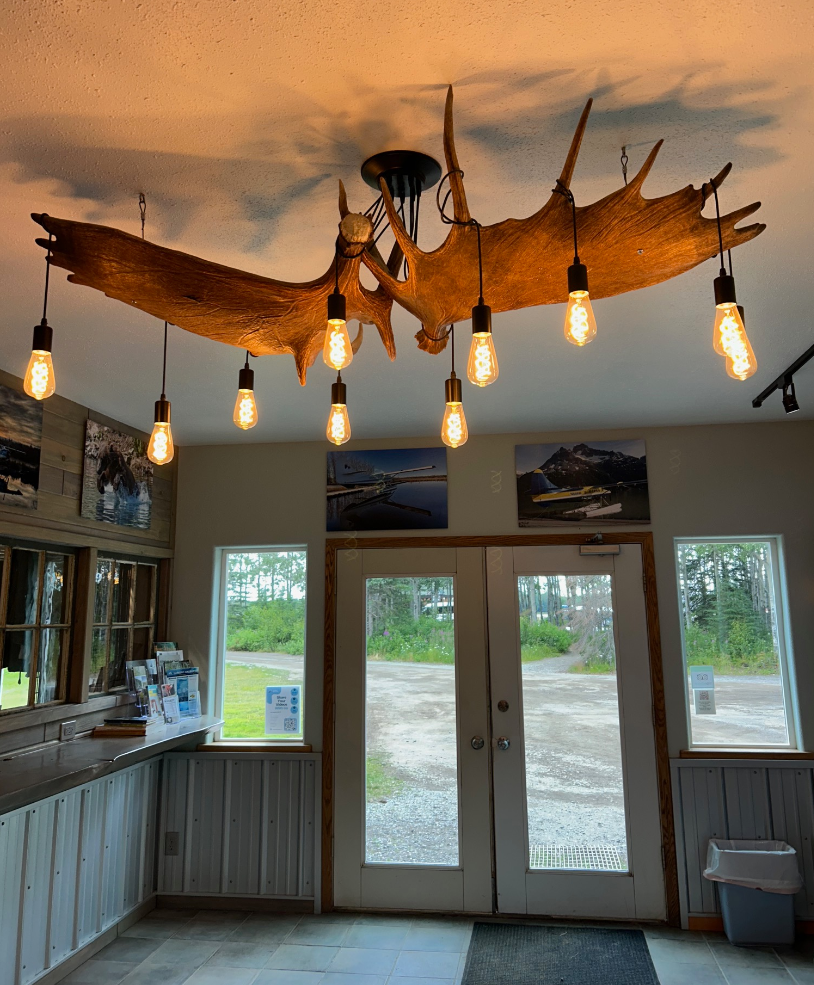 Moose Antler chandelier Pendant Light