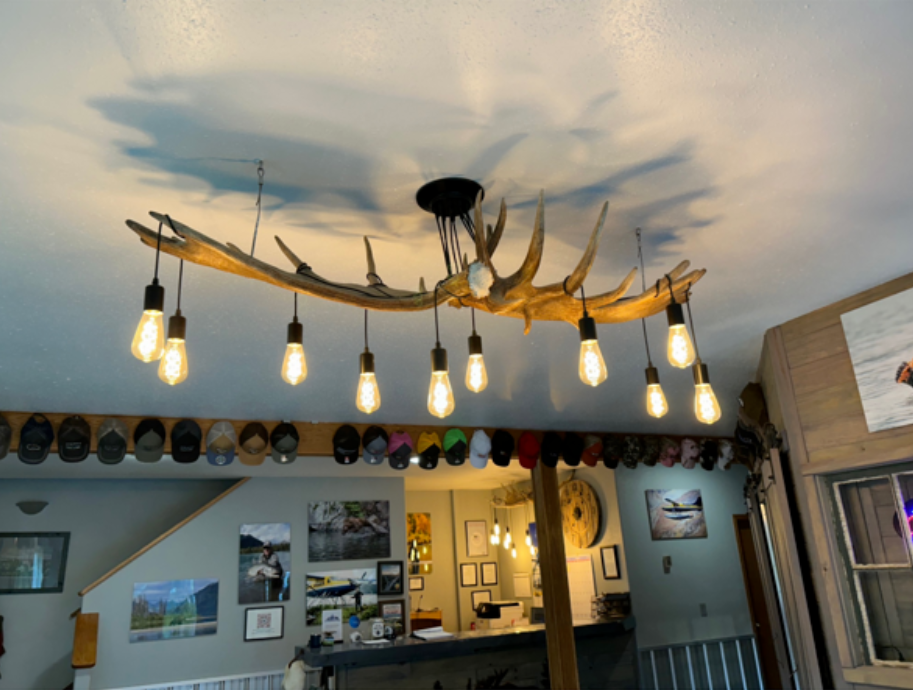 Moose Antler chandelier Pendant Light