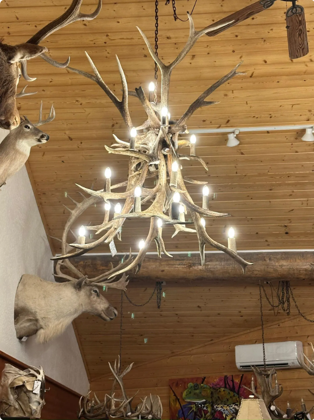 Brooks Range Elk Antler Chandelier 60" T 48" W 19 lights