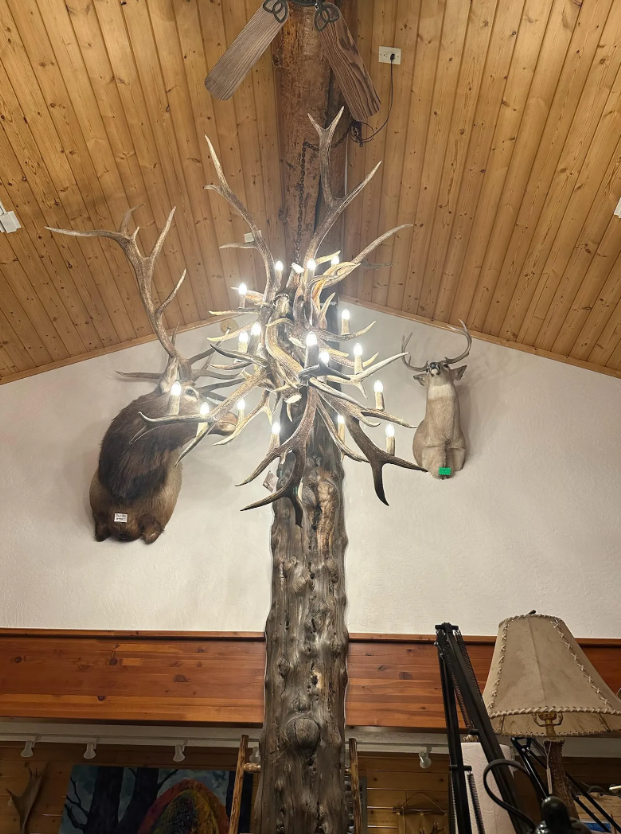 Brooks Range Elk Antler Chandelier 60" T 48" W 19 lights