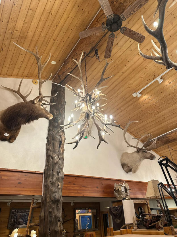 Brooks Range Elk Antler Chandelier 60" T 48" W 19 lights