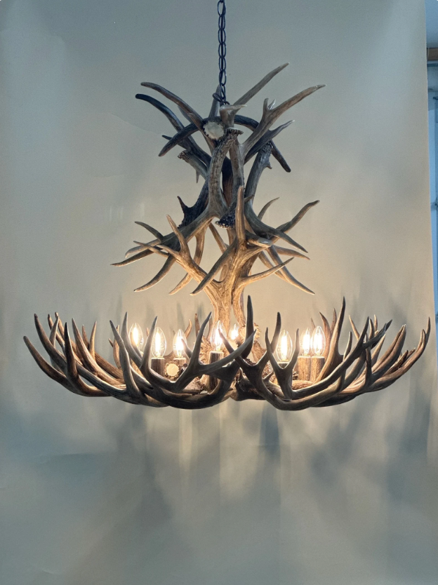 8 Lights $2795, 12 Lights $3295 on 3/25