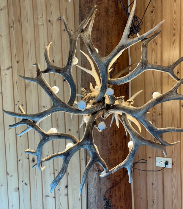 Pikes Peak Real Deer Antler Chandelier 36"T 34"W, 8 or 12 Lights