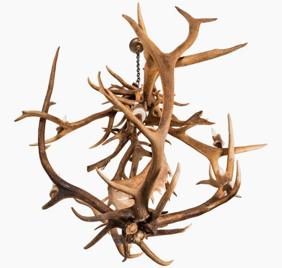 Deer Elk Fallow Antler chandelier