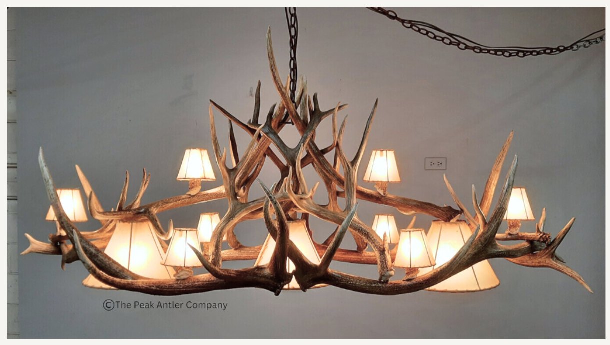 The Bear Valley Elk & Deer Antler Chandelier