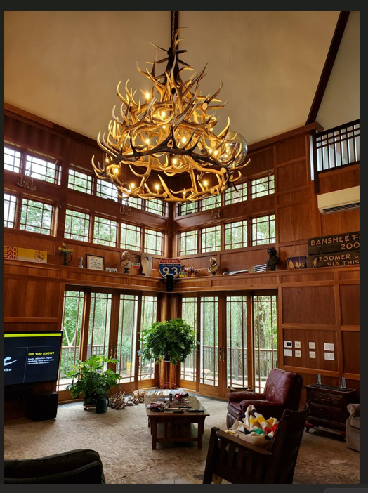 FAUX ANTLER CHANDELIER