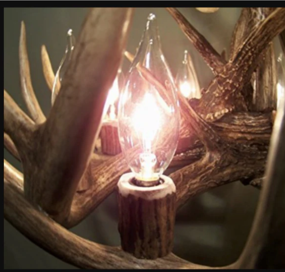 Wrangell Mountains Real Deer Antler Chandelier