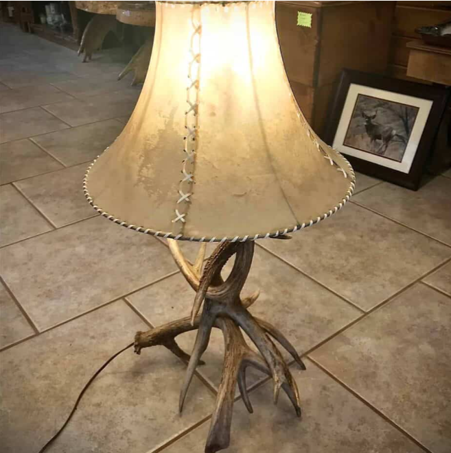Mule Deer 4 Antler Table Lamp w/ Rawhide Shade