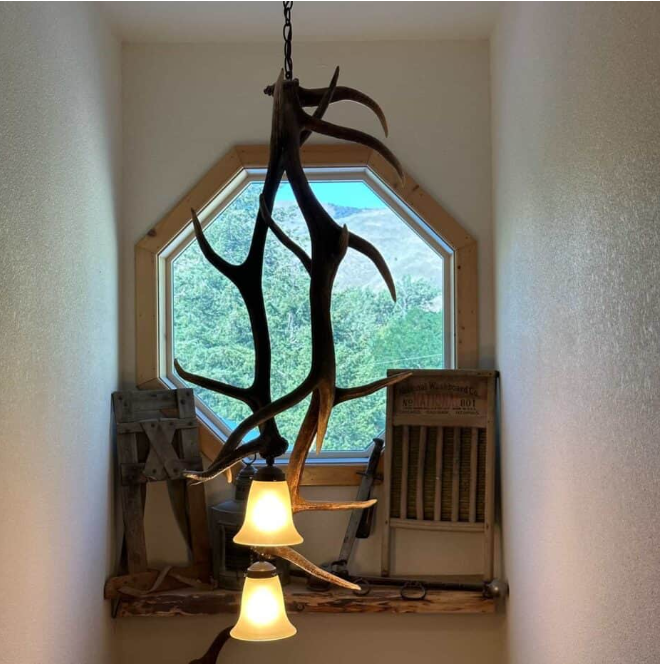 Elk Antler Pendant Light