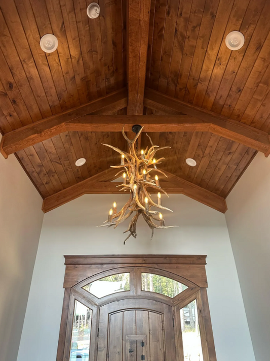 Elk Antler chandelier Pendant Light