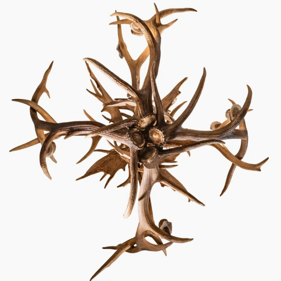 Deer Elk Fallow Antler chandelier