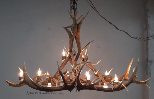 Large Elk Antler Chandelier