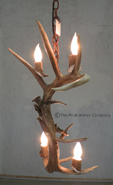 The Shoshoni Deer Antler Pendant