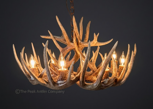 Calloway Deer Antler Chandelier, Round and Oval Shapes