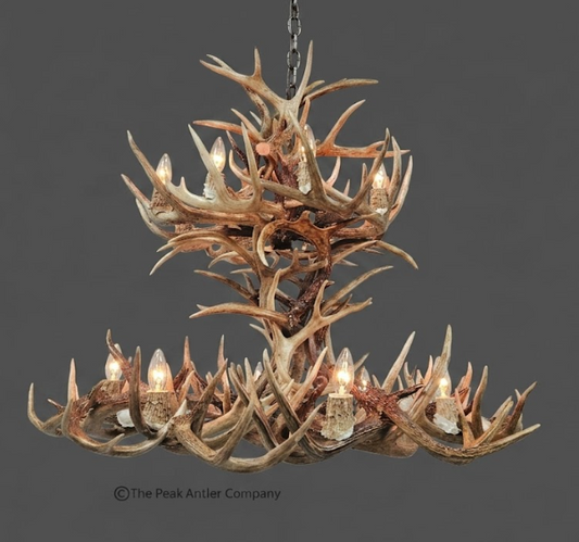 medium Antler chandelier