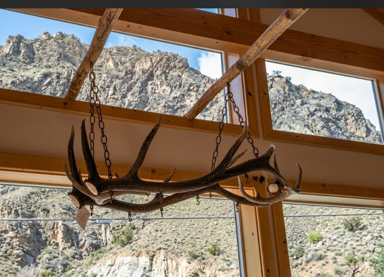 Elk & Whitetail Antler Pot Rack
