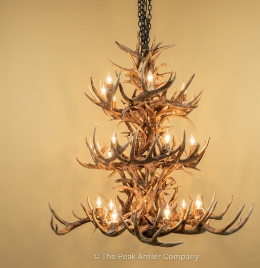 whitetail DEER Antler chandelier