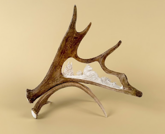 Moose antler with decorative elements of napping wolf on a beige background