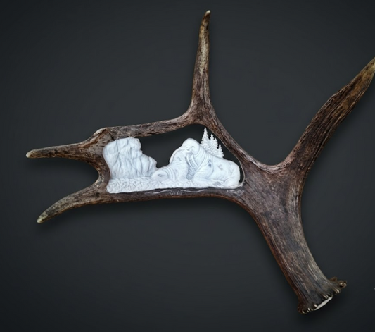 Walrus moose antler carving on a caribou antler and grey background.
