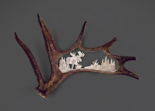 Decorative antler with a cutout design of a moose and trees on a gray background
