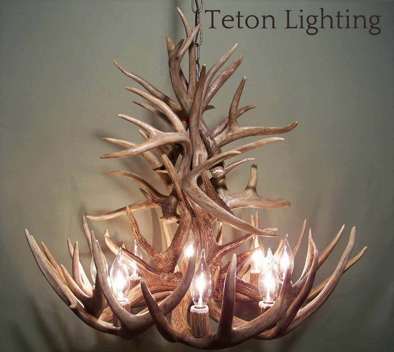 Ohio Deer Antler Chandelier