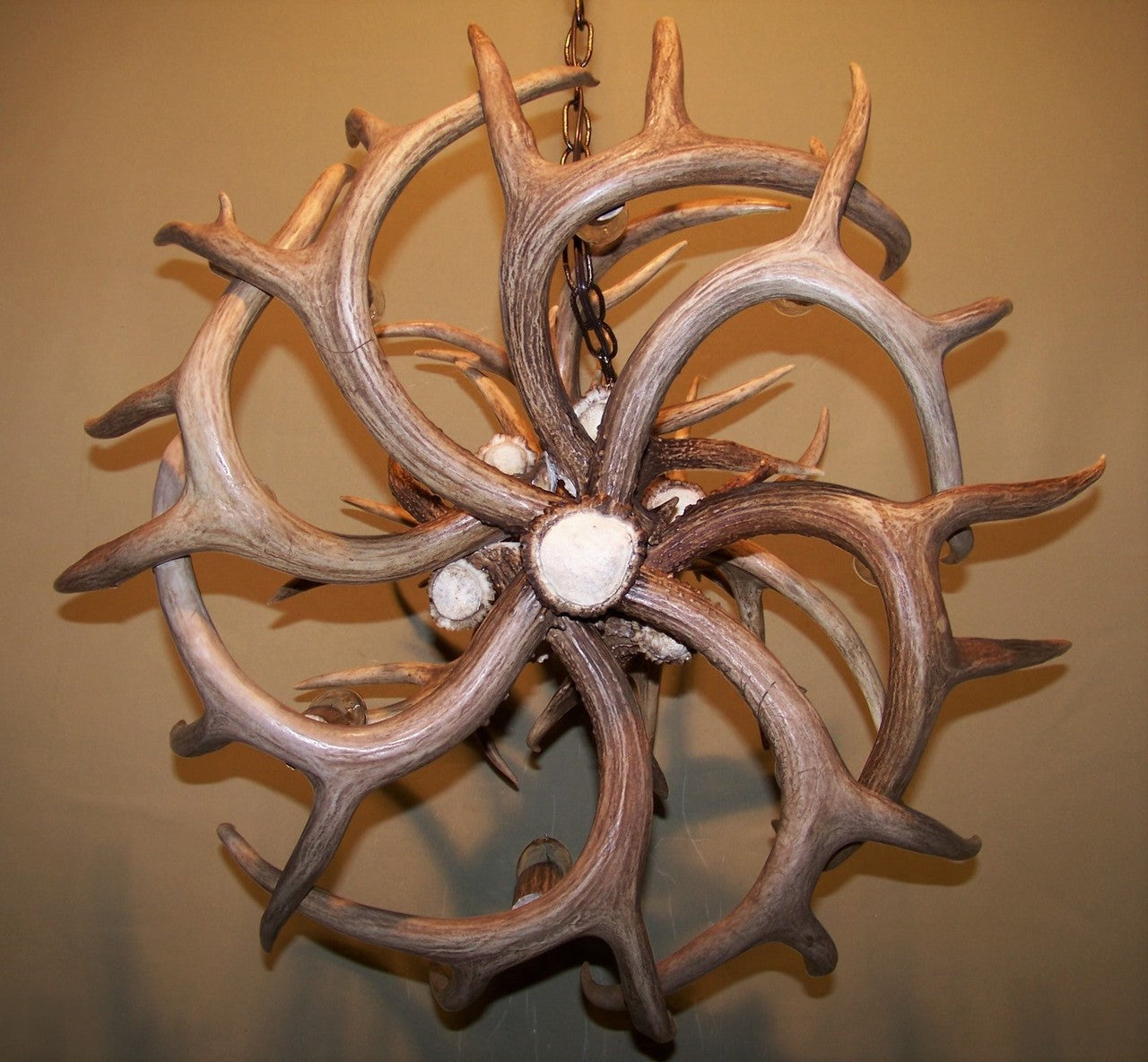 Ohio Deer Antler Chandelier, 27" W x 20" T, 8 Lights