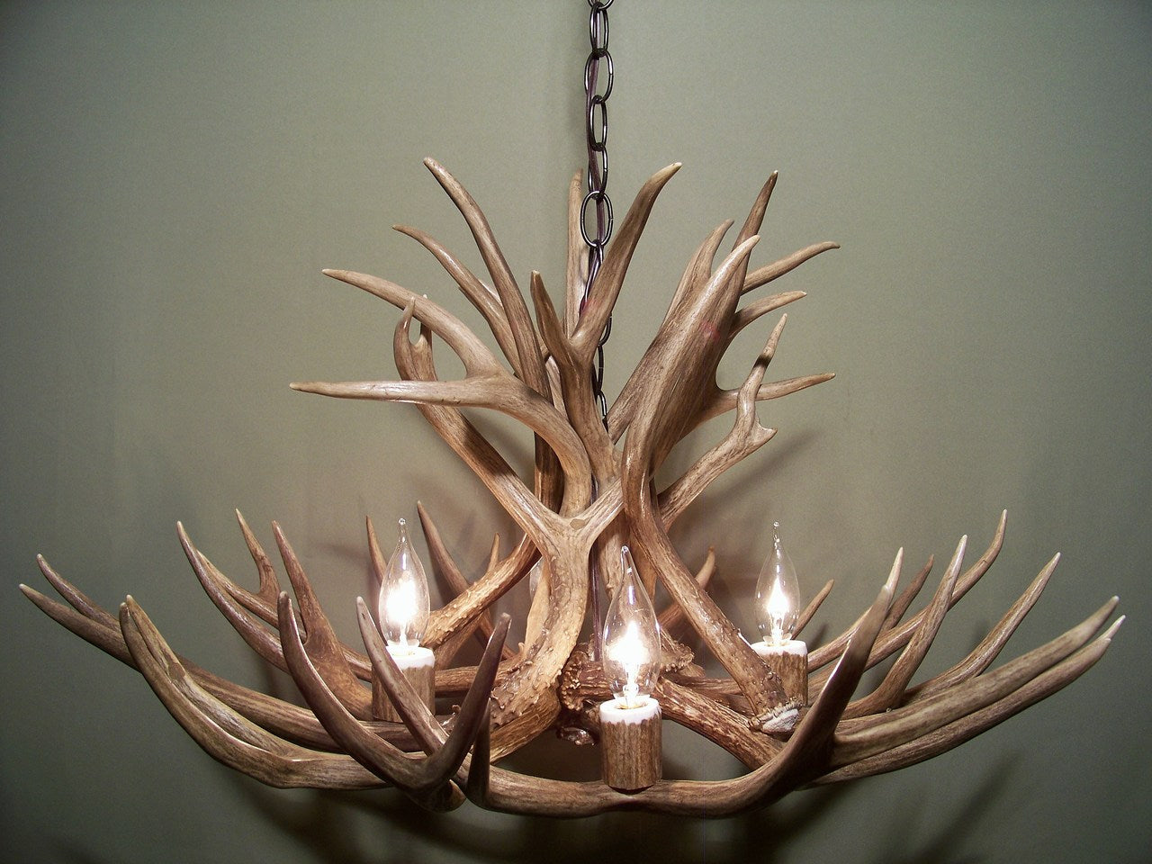 Colorado Deer Antler Chandelier, 28" W x 15" T, 4 Lights