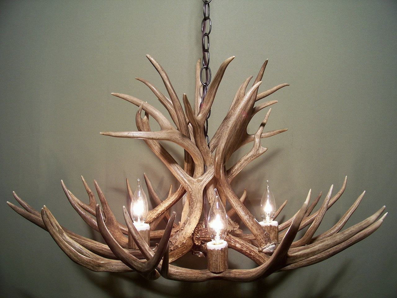 Colorado Deer Antler Chandelier, 28" W x 15" T, 4 Lights