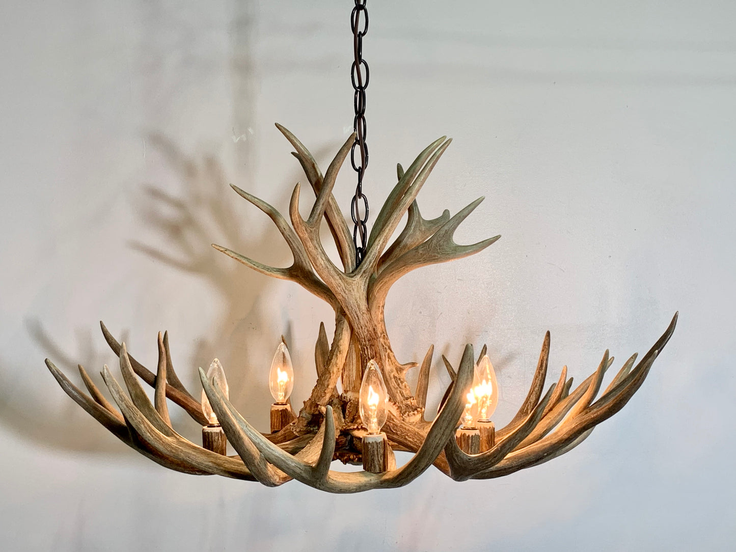 Whitefish Deer Antler Chandelier