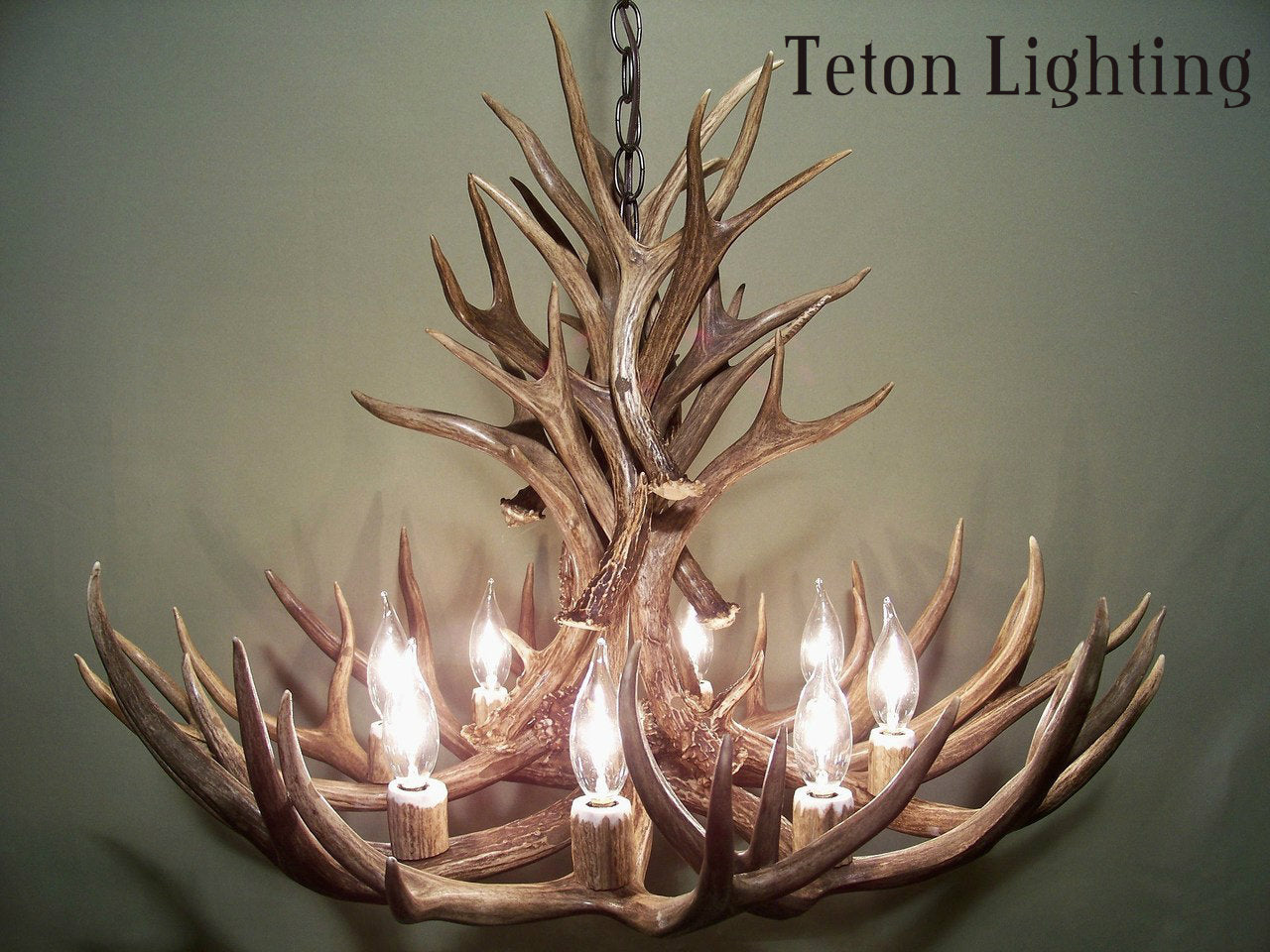 Wyoming Deer Antler Chandelier, 8-12 Lights