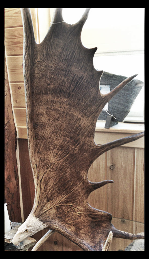 Soaring Eagle Antler Carving w/Antler Base