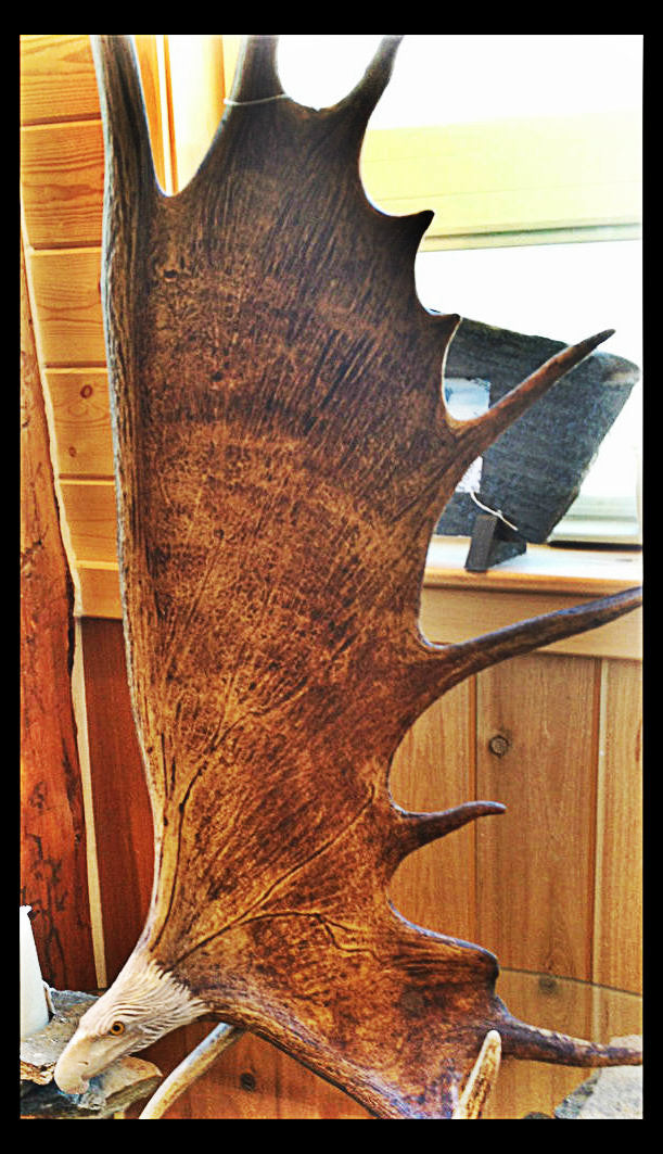 Soaring Eagle Antler Carving w/Antler Base