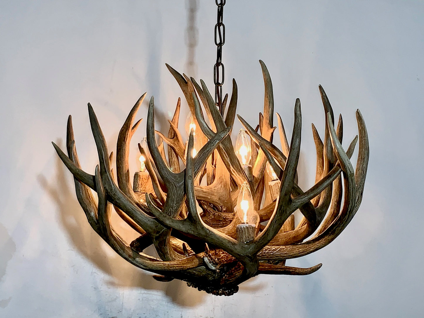 Deer Antler chandelier Pendant Light