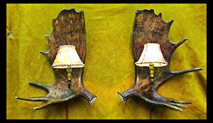 Moose Antler Wall Sconce w/Rawhide Shade