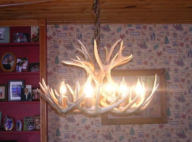 Kentucky Deer Antler Chandelier, 24" W x 16" T, 6 Lights
