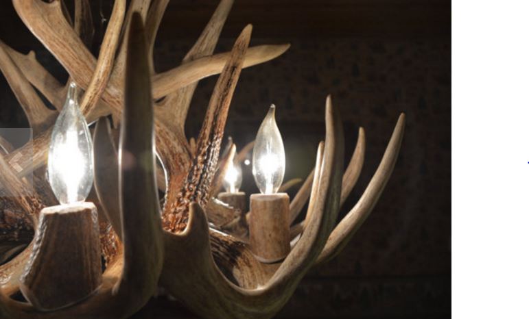 Maryland Deer Antler Chandelier, 28" W x 20" T, 6 Lights