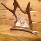 Howlin' at the Moon Wolf Antler Carving