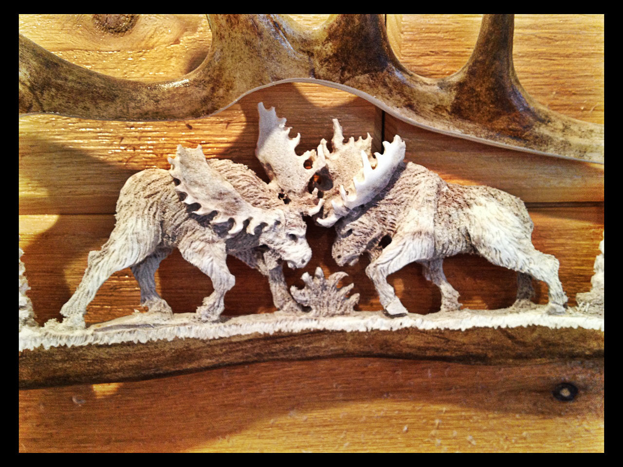 Fighting Moose Antler Carving