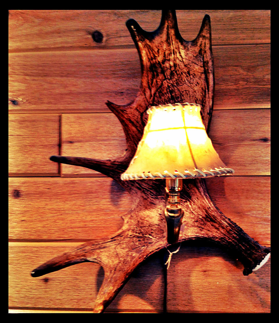 Moose Antler Wall Sconce