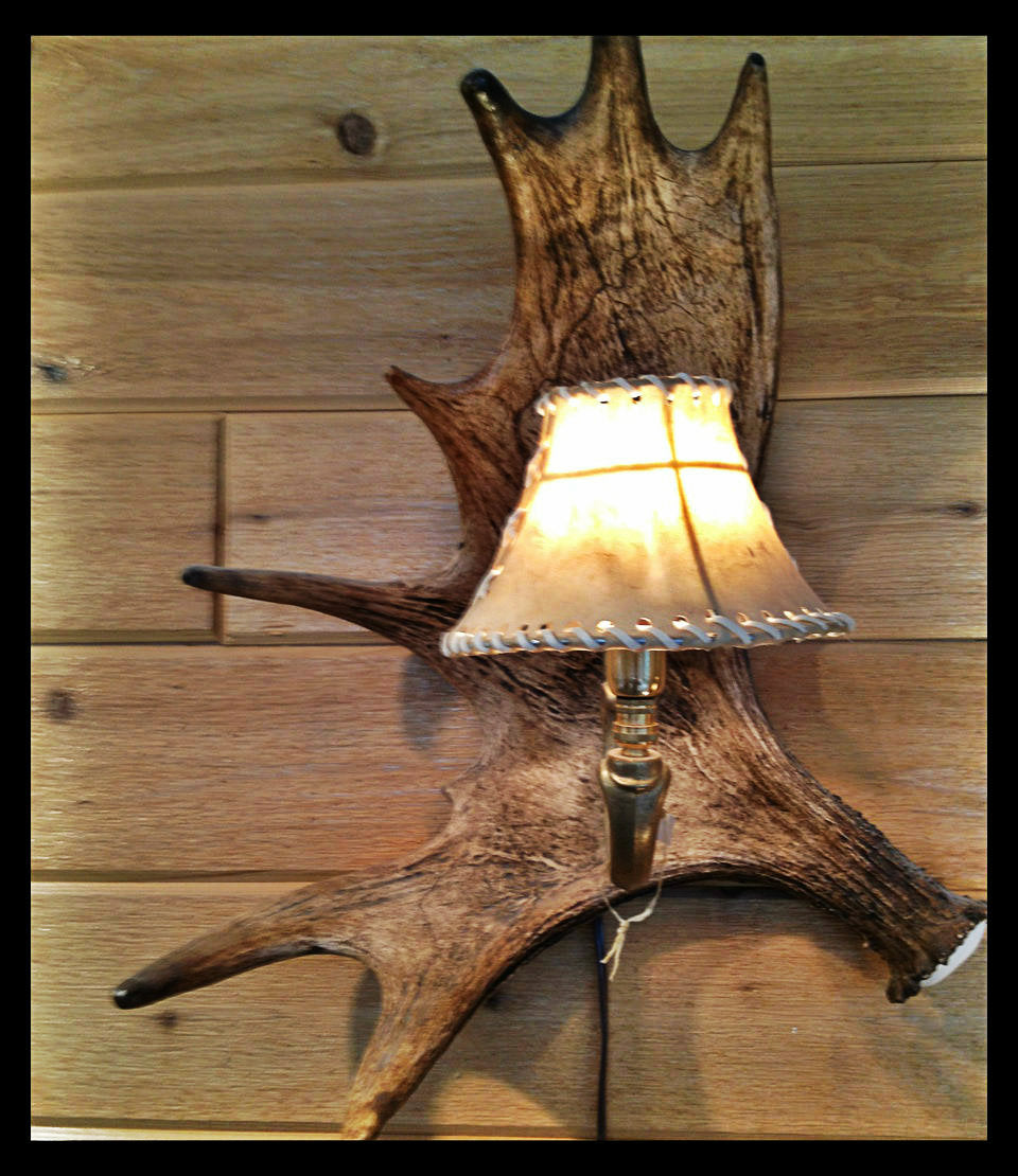 Moose Antler Wall Sconce w/Rawhide Shade