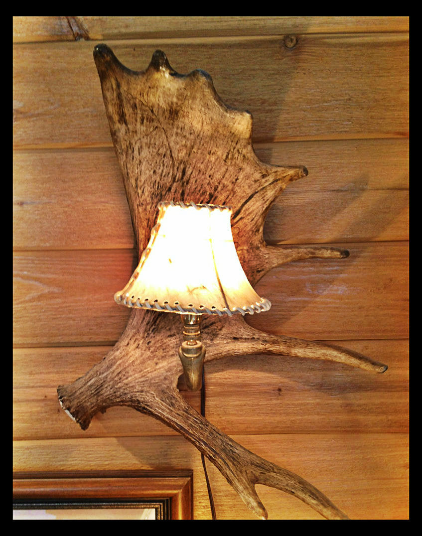 Moose Antler Wall Sconce w/Rawhide Shade